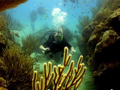 carrières divemaster